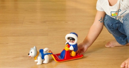 ست سورتمه اسکیمو با هاسکی Tolo